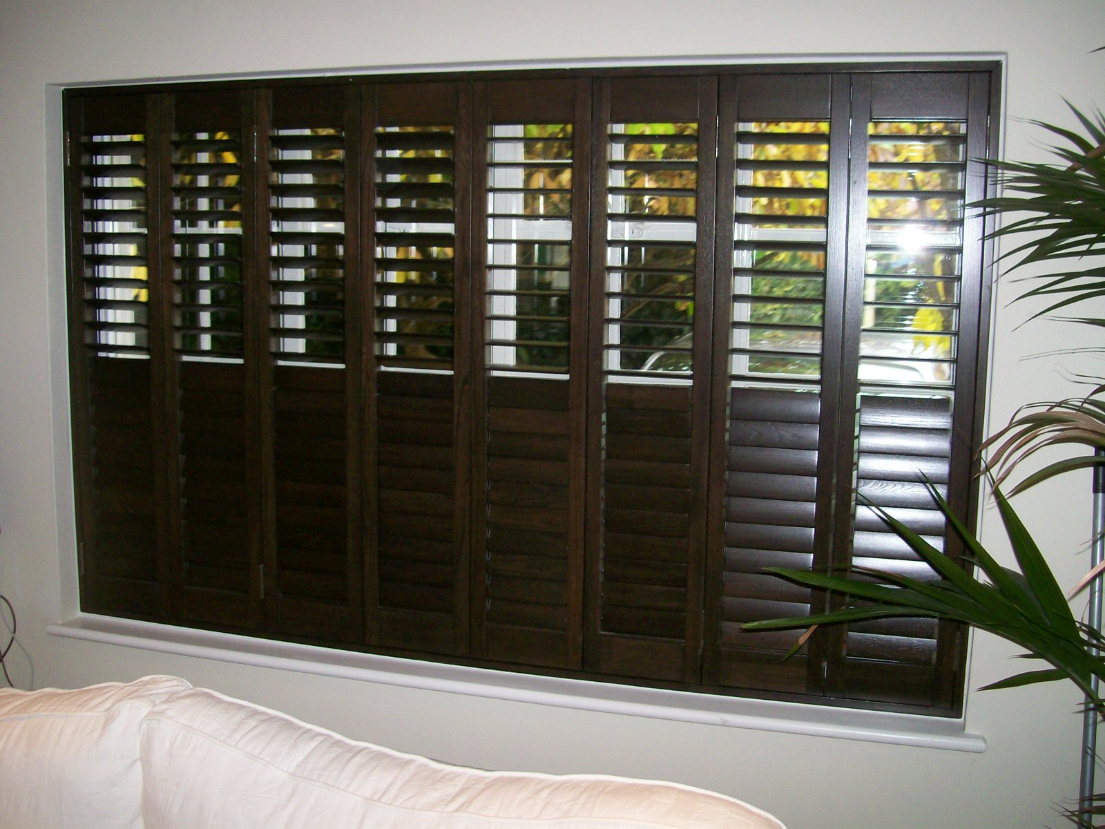 Wenge-Stained-Shutters.jpg